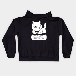 a cats confession Kids Hoodie